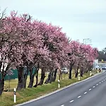 Platán Aparthotel Balatongyörök