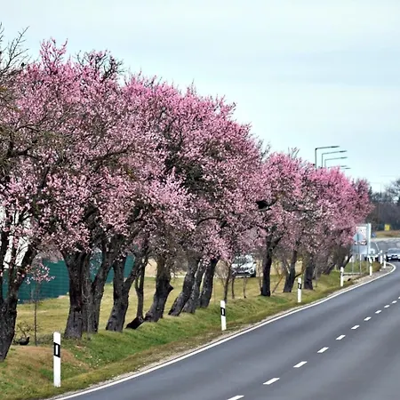 Platan Apartmanhaz Appart hôtel Balatongyörök