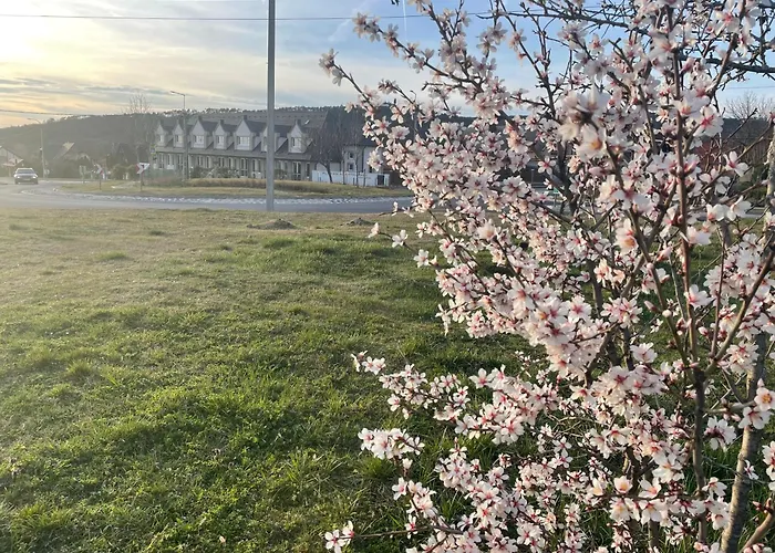 Platan Apartmanhaz Aparthotel