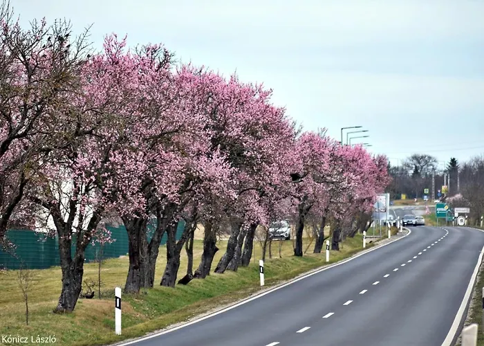 Platan Apartmanhaz Aparthotel Balatongyörök